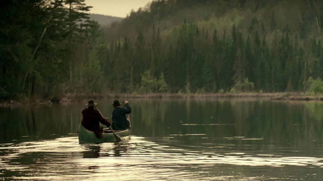 Backdrop – Disappearances