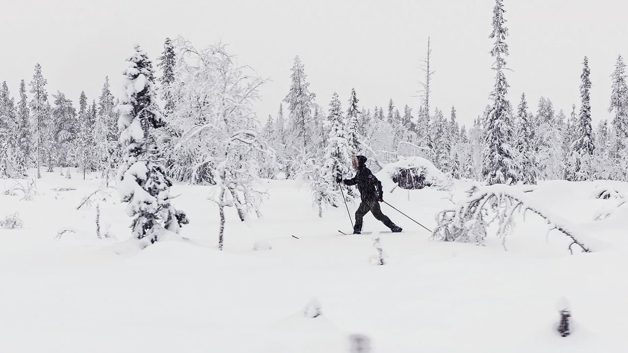 Backdrop – Att bäras av snö