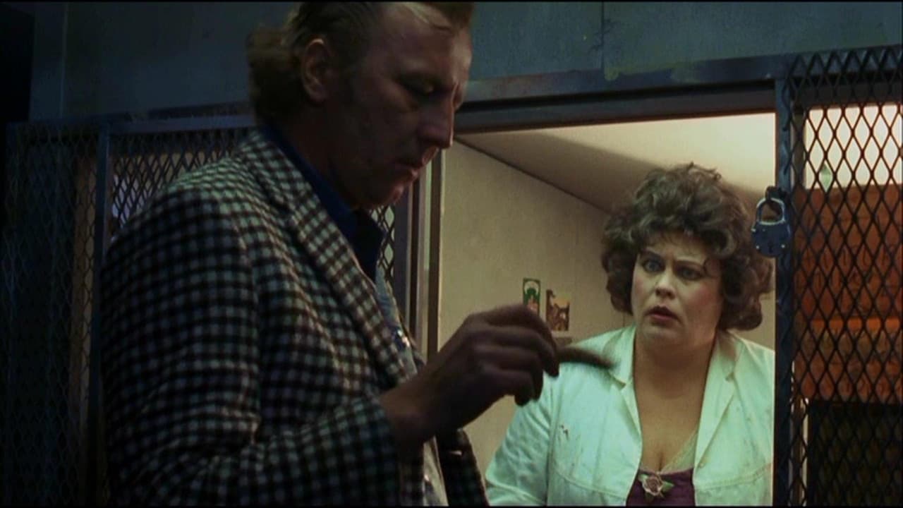 Backdrop – Katsastus