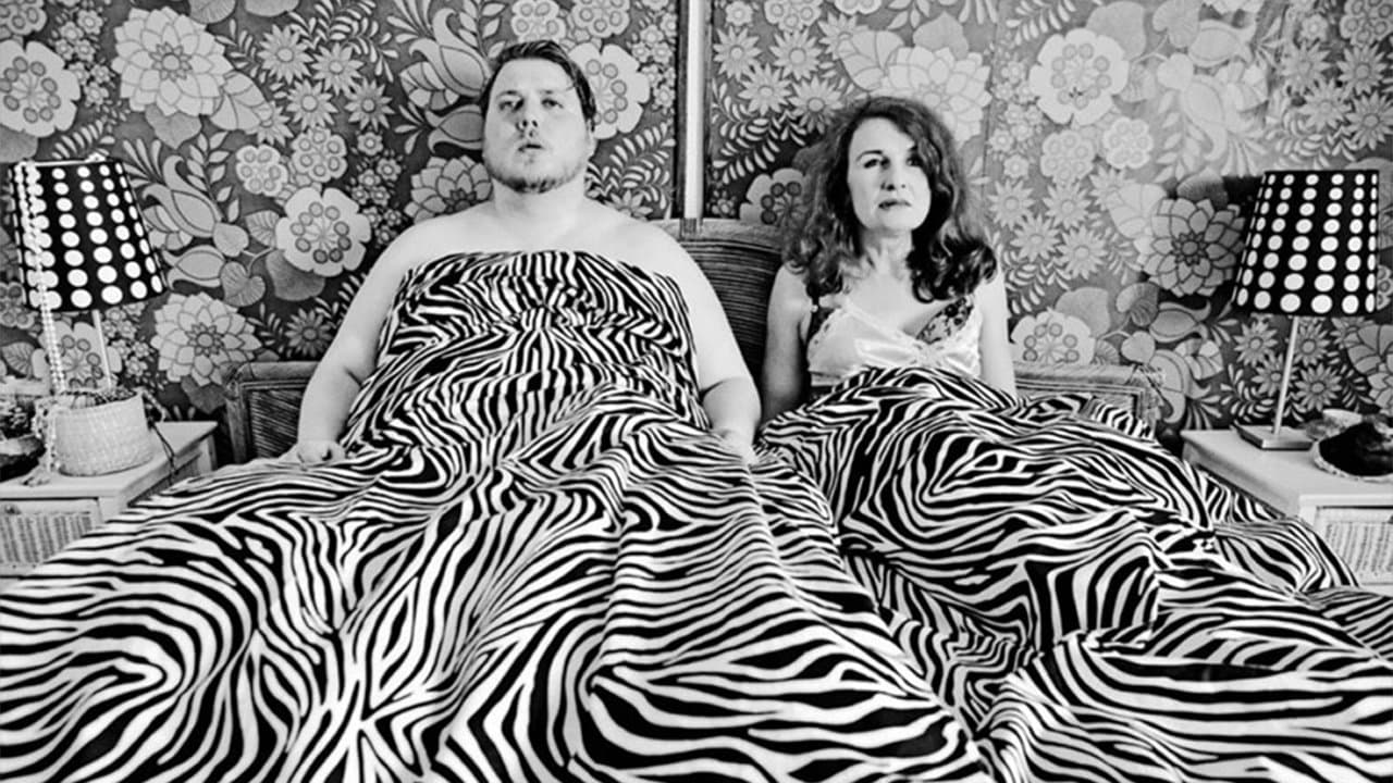 Backdrop – Dark Horse