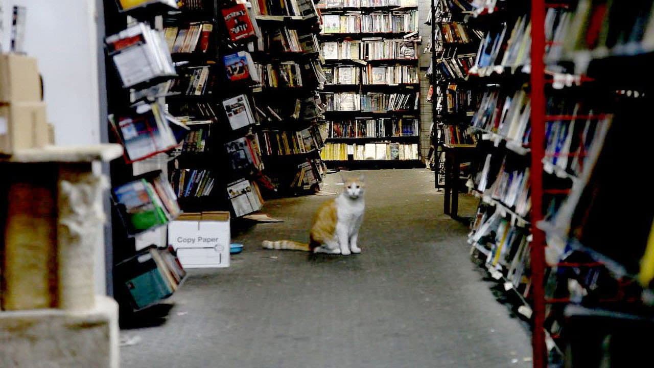 Backdrop – There Were Always Dogs, Never Kids