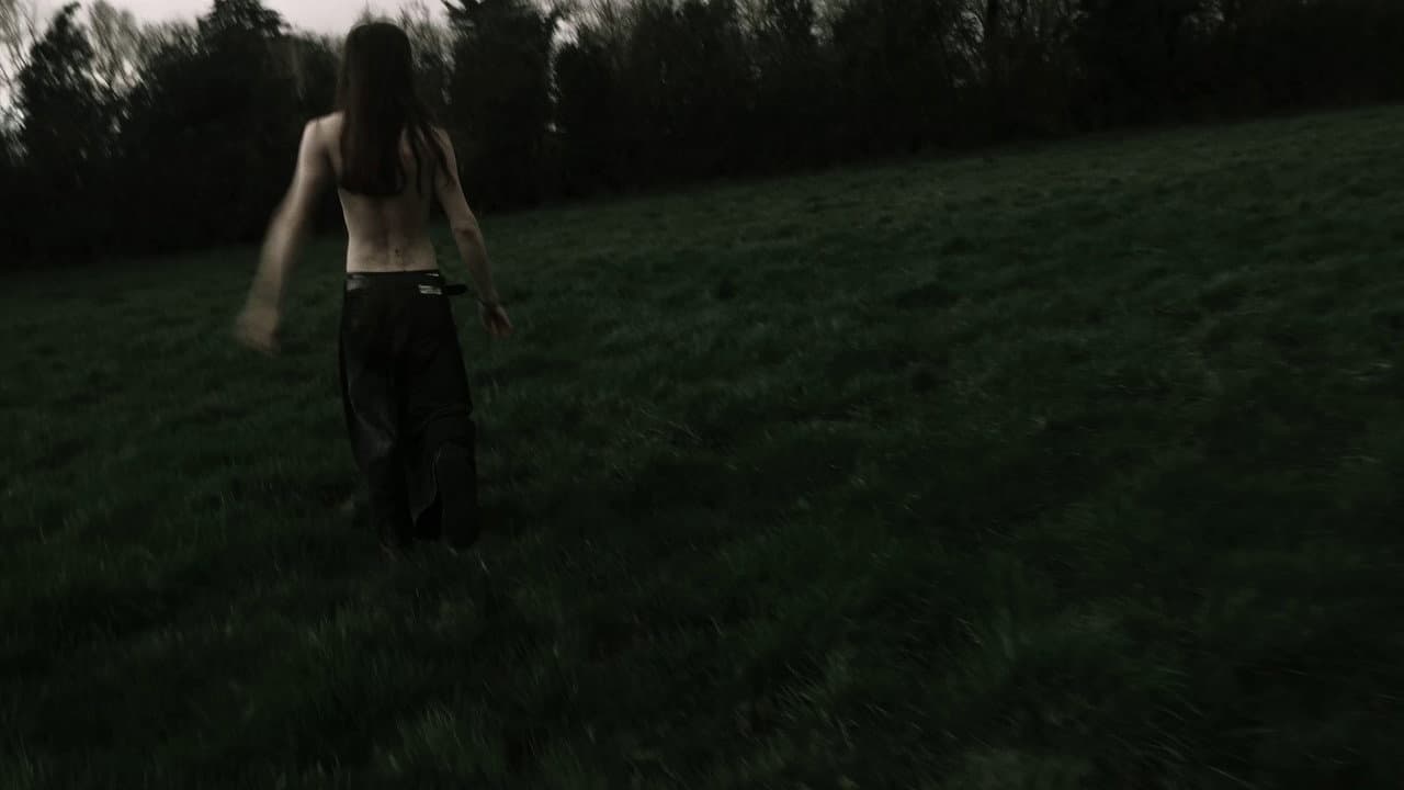 Backdrop – Intérêt de vie