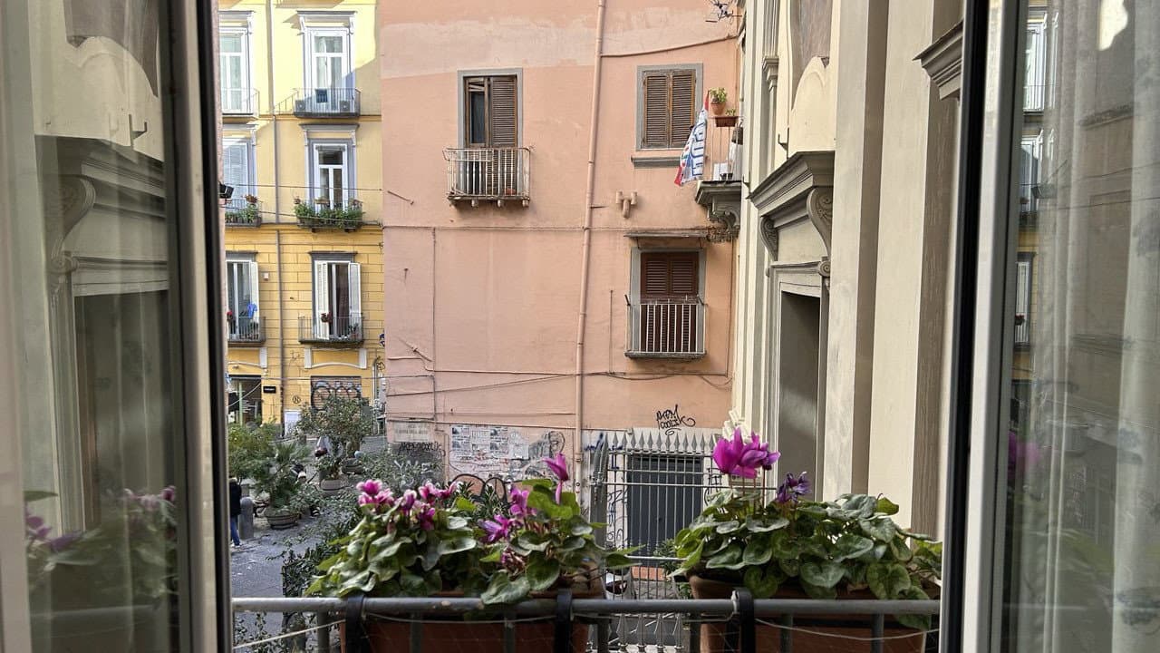 Backdrop – DOLCE