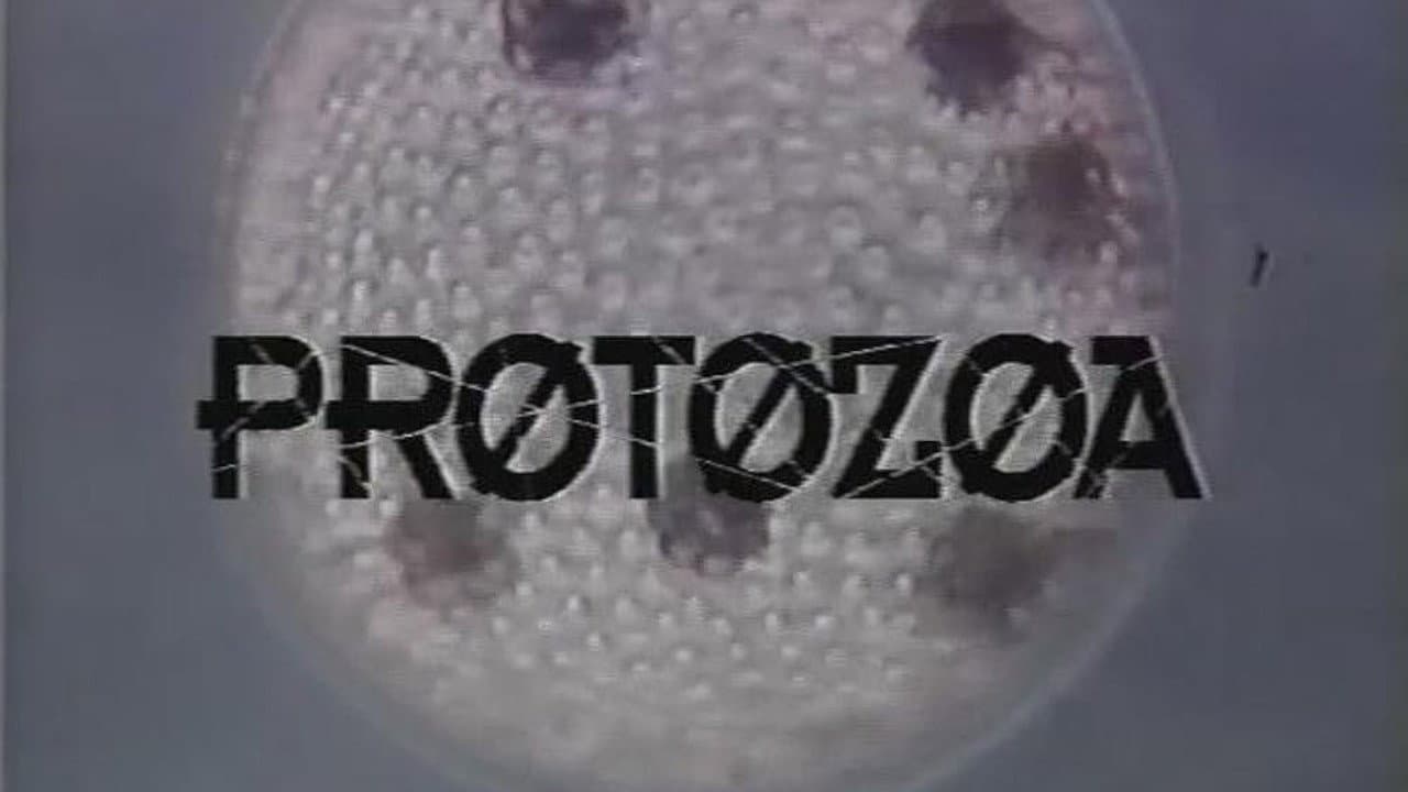 Backdrop – Protozoa