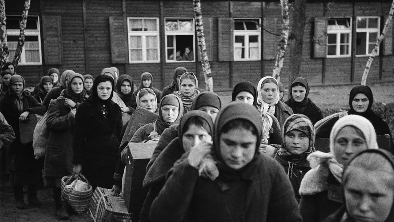 Backdrop – We Weren't The Only Ones