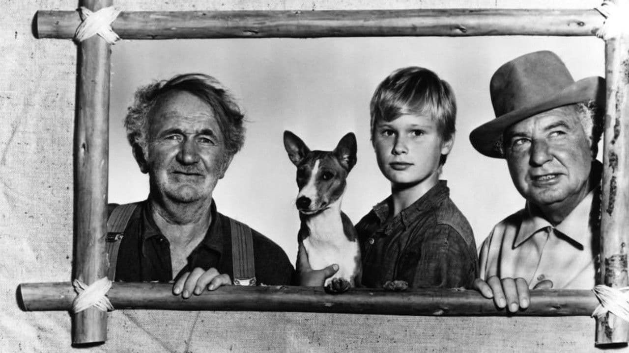 Backdrop – Good-bye, My Lady