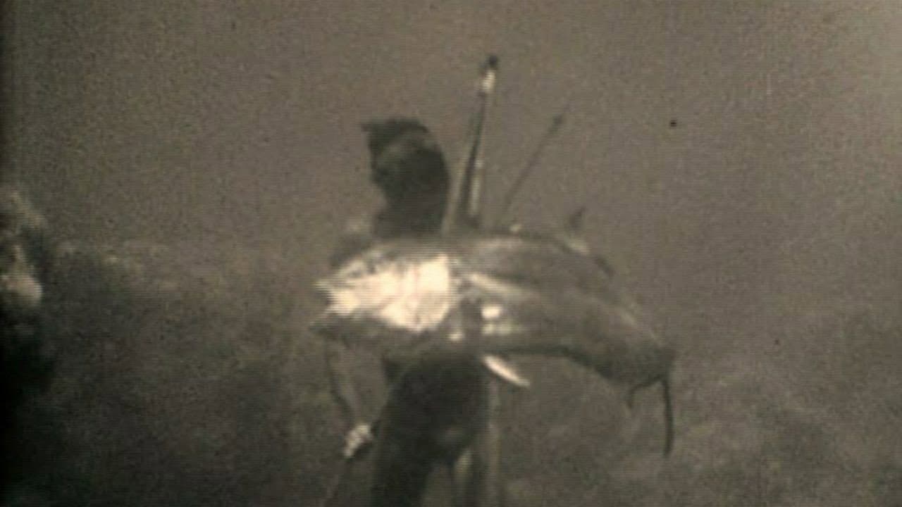 Backdrop – Par dix-huit mètres de fond