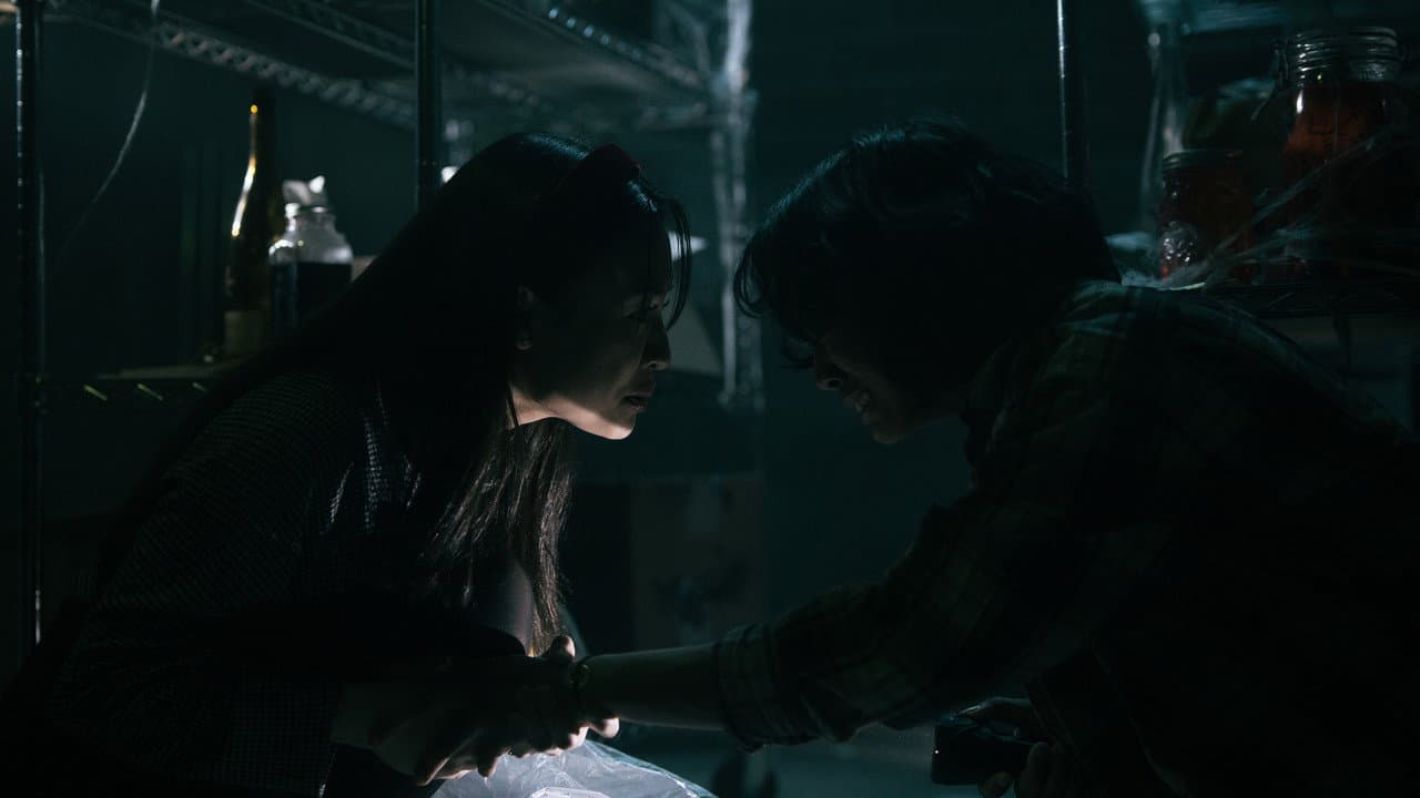 Backdrop – Chiroptera