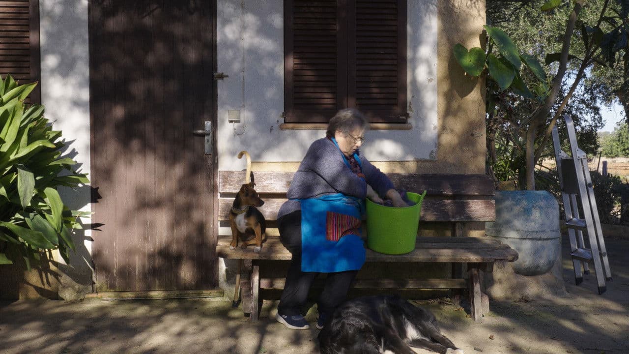 Backdrop – Ca Nostra