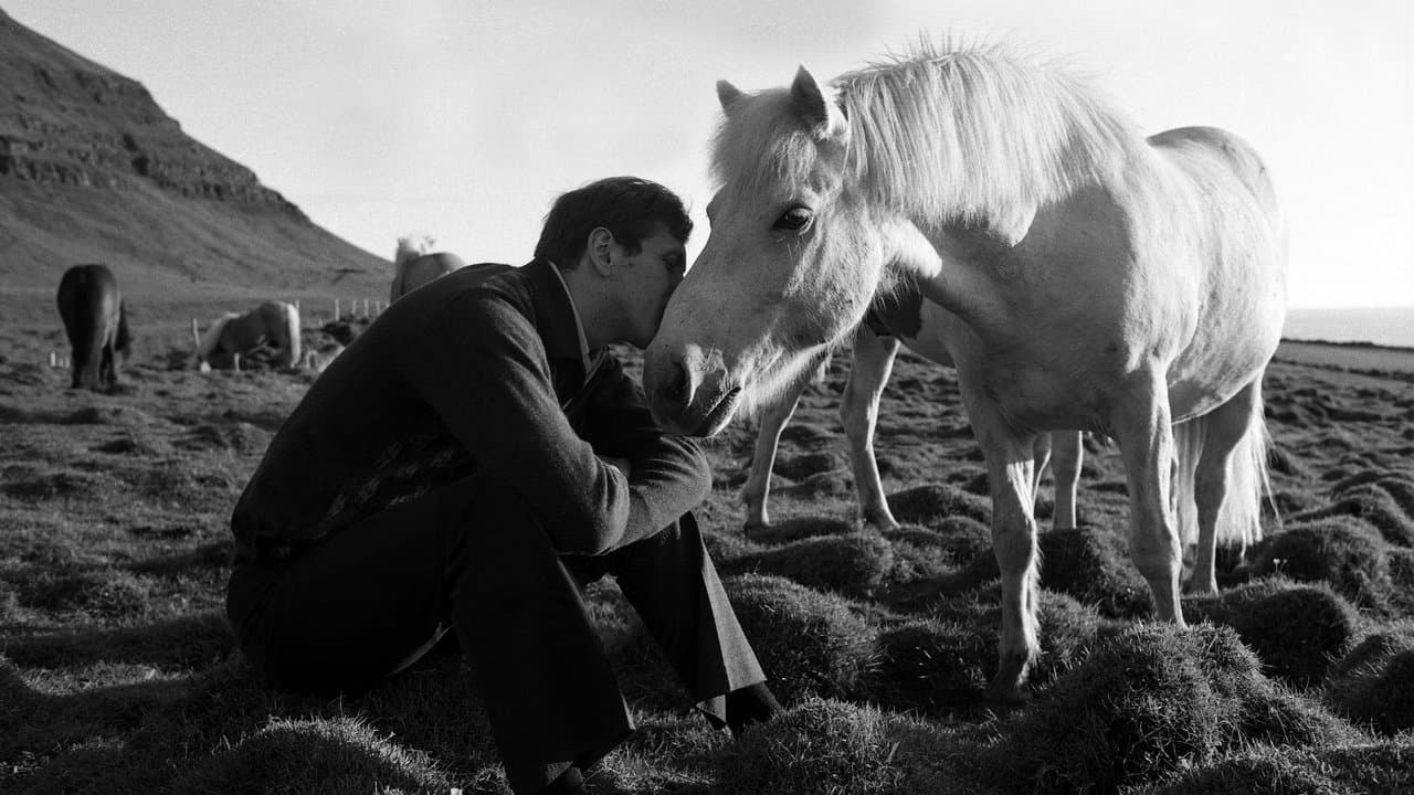 Backdrop – Zug um Zug in den Wahnsinn