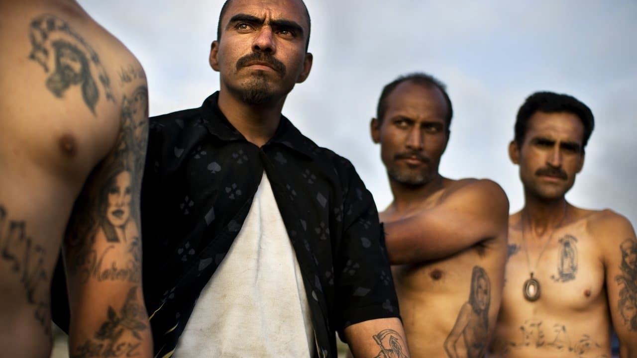 Backdrop – Narco Cultura