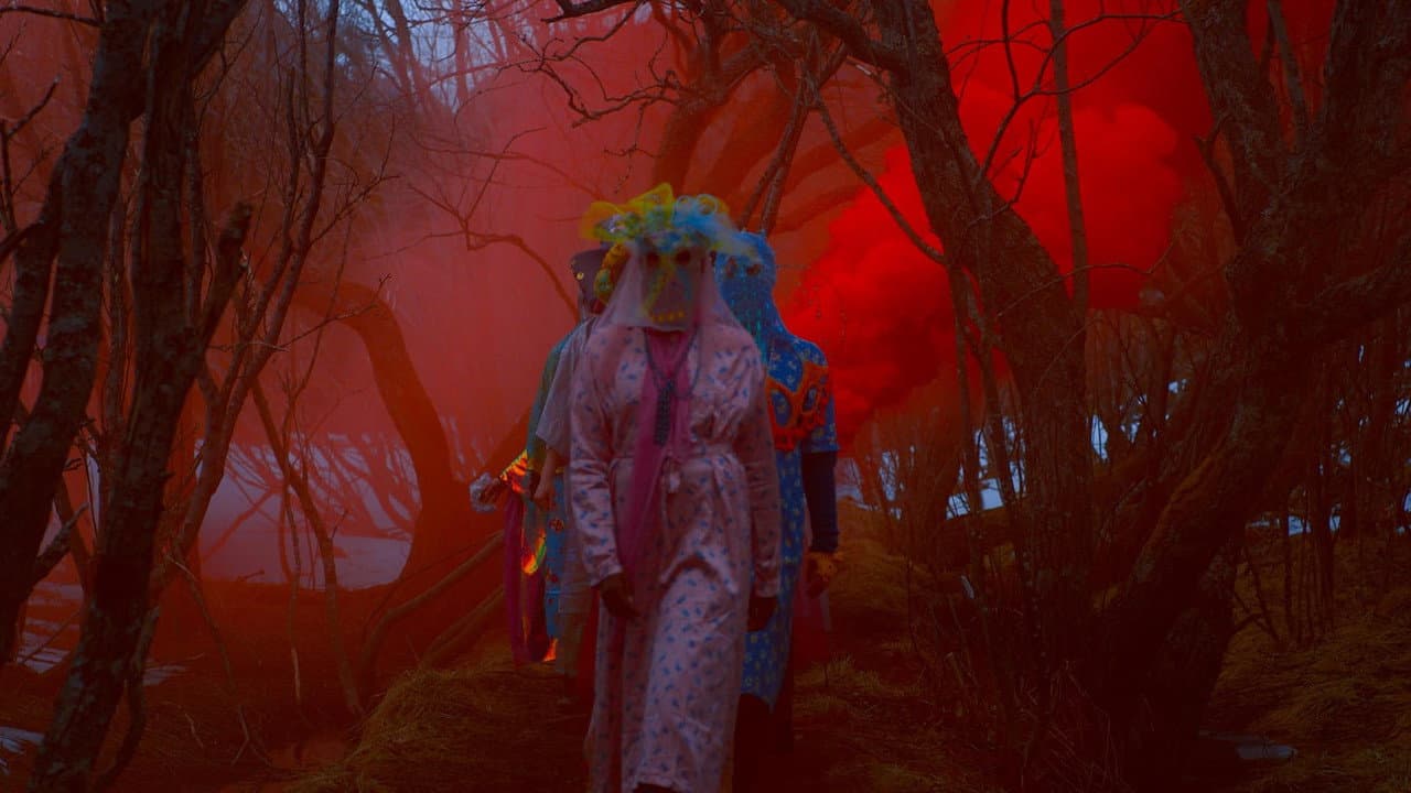 Backdrop – Sister, What Grows Where Land Is Sick?