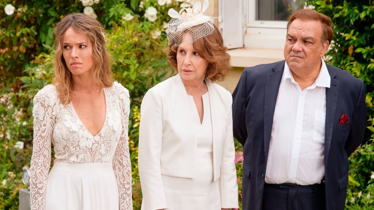 Backdrop – Alibi.com 2