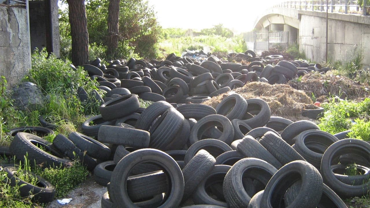 Backdrop – Biùtiful Cauntri