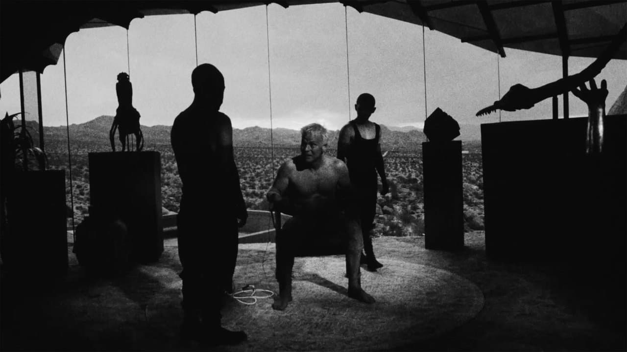 Backdrop – Divinity