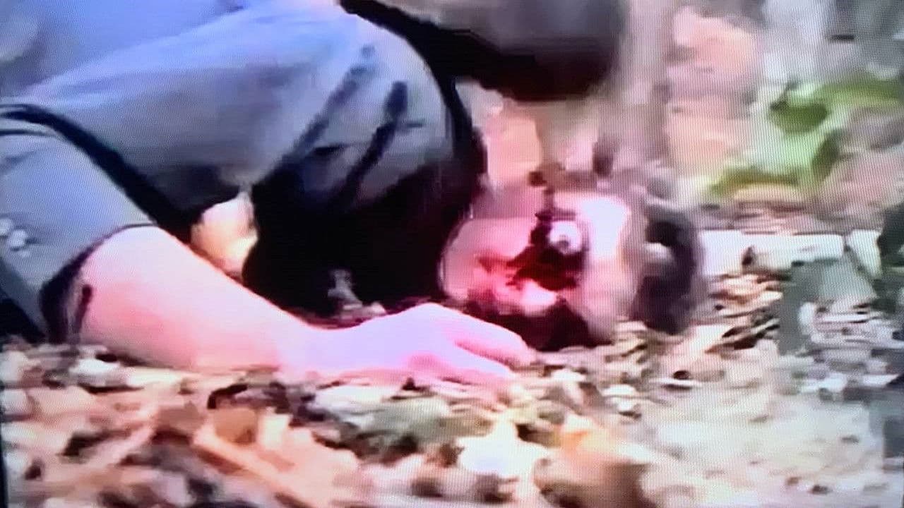 Backdrop – Requiem der Teufel