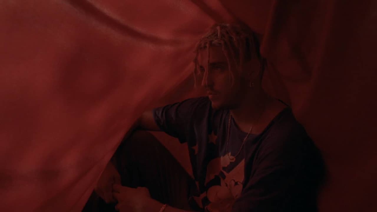 Backdrop – Flor de Luto