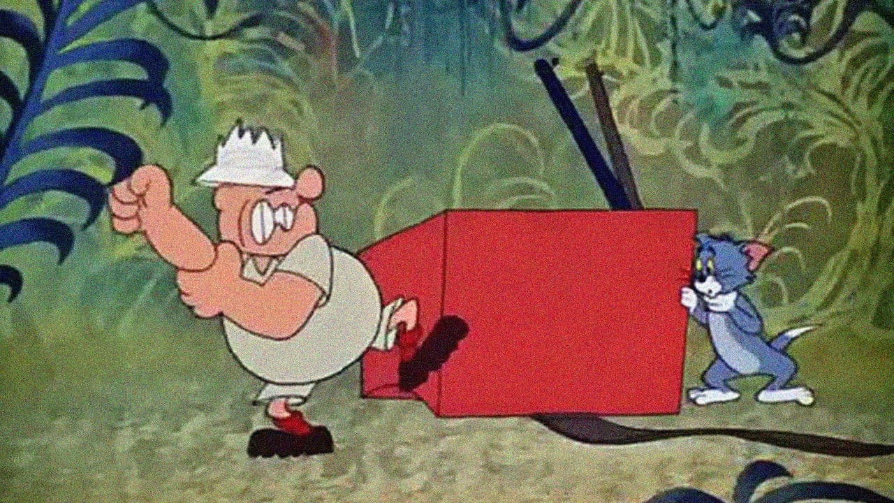 Backdrop – Heia Safari