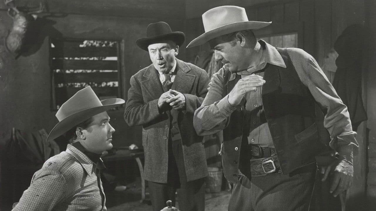 Backdrop – The Timber Trail