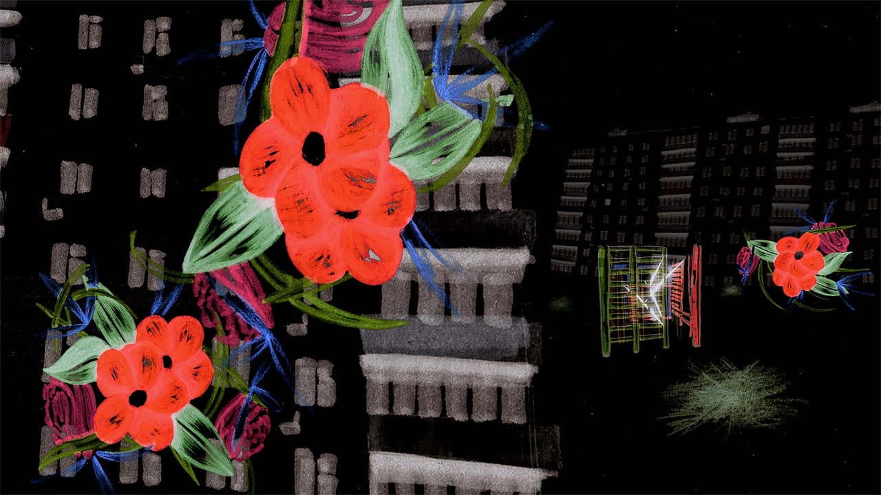 Backdrop – Lights, Haze / გაბნეული შუქები