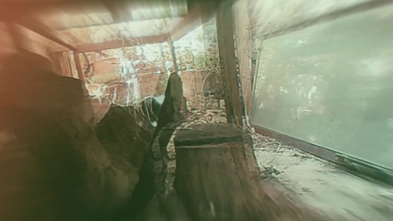 Backdrop – Vague Void