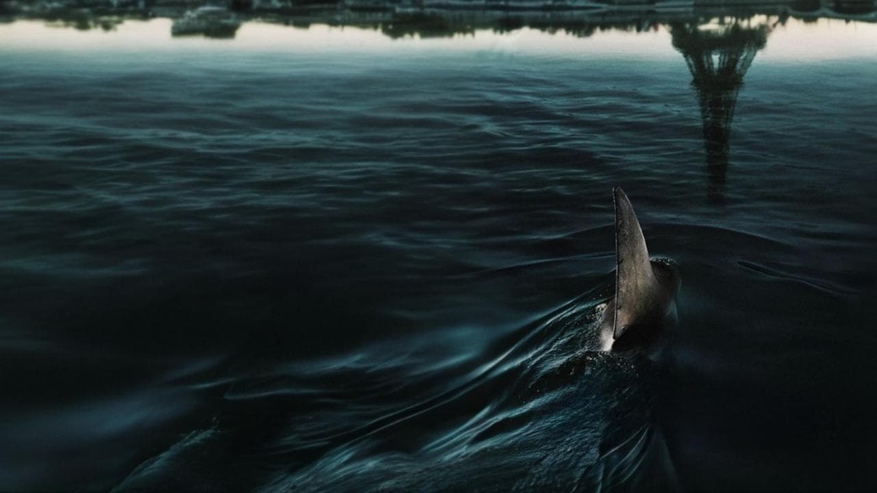 Backdrop – Im Wasser der Seine
