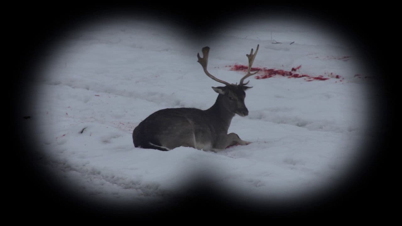 Backdrop – Lovu zdar!