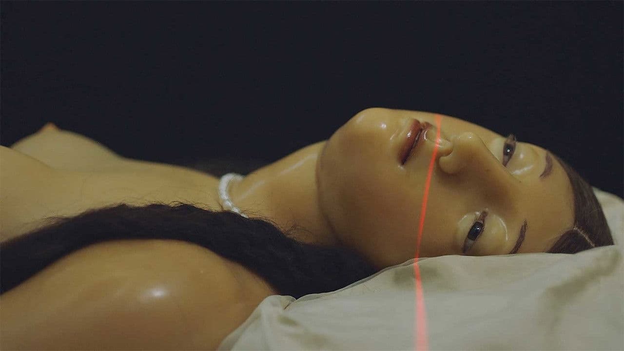 Backdrop – Almost Human