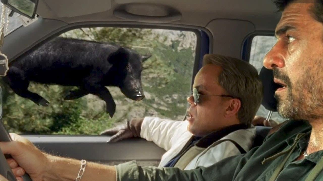 Backdrop – Les Francis