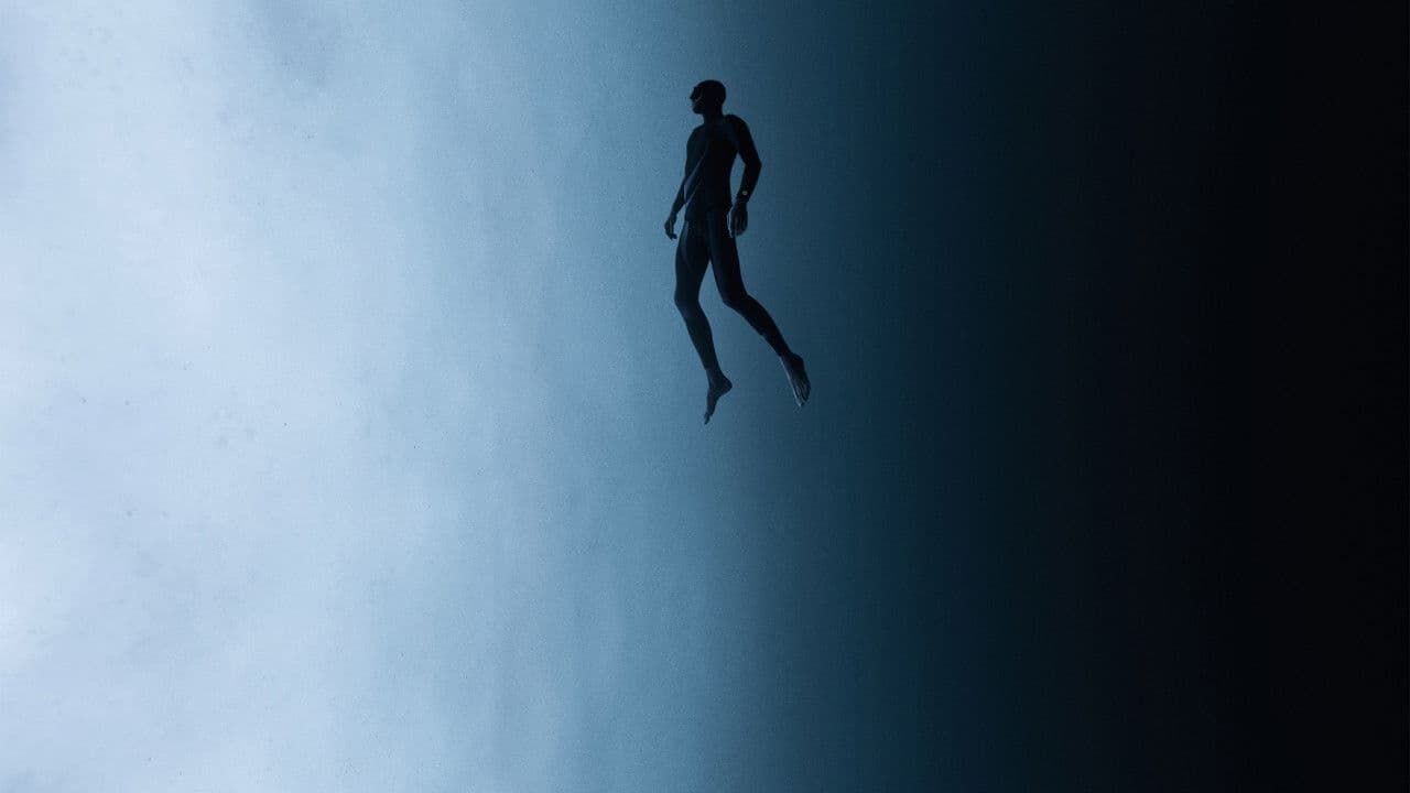 Backdrop – Sunny Boy