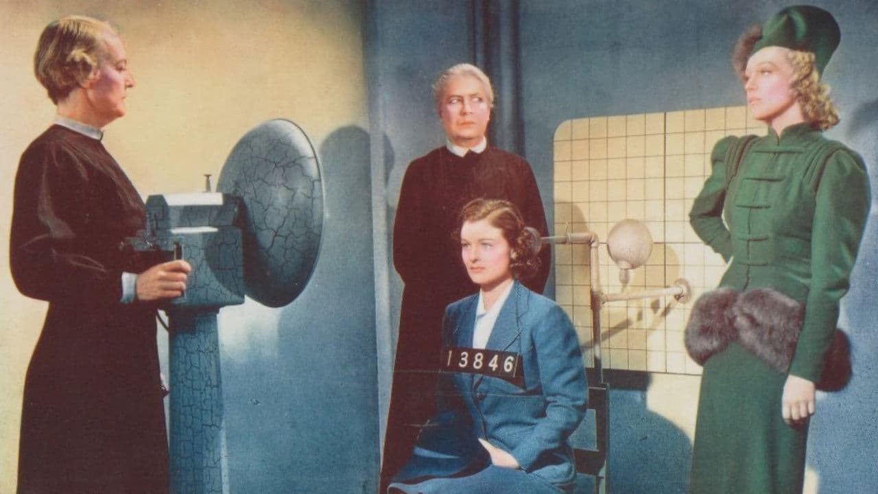 Backdrop – Within the Law