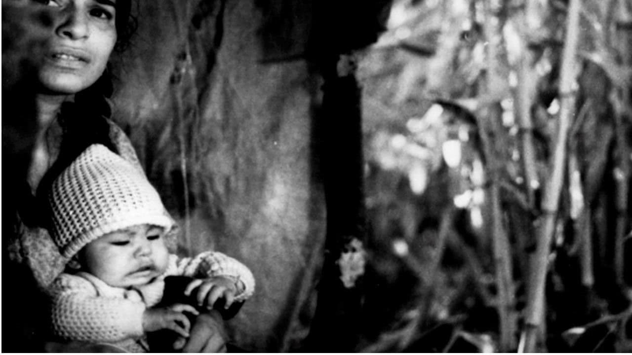 Backdrop – De ida y vuelta