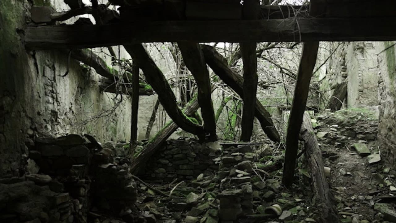 Backdrop – Balar en silencio
