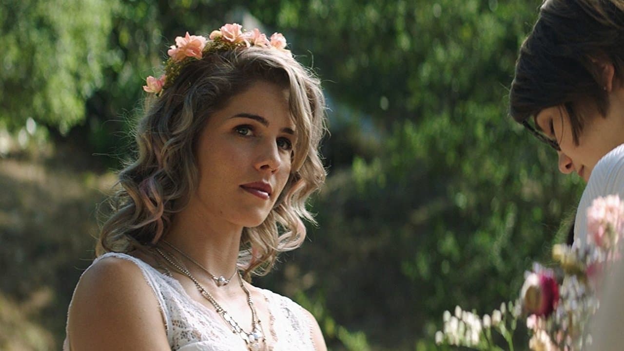 Backdrop – Funny Story