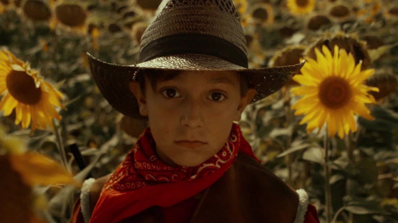 Backdrop – Crevette