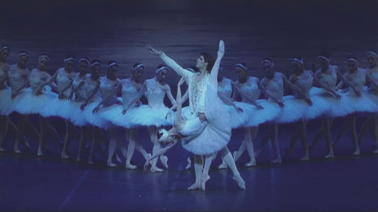 Backdrop – Pyotr Tchaikovsky Ballet 'Swan Lake' 2007 at the Mariinsky Theatre in St Petersburg