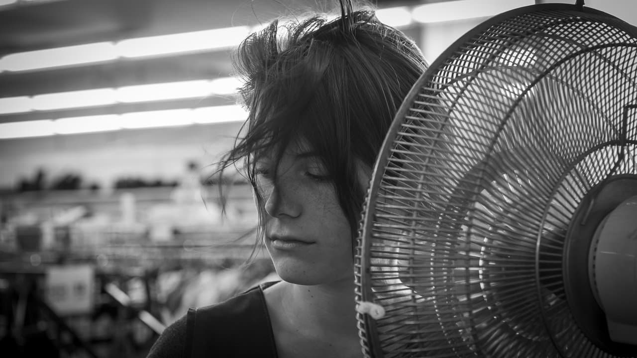 Backdrop – Tu dors Nicole