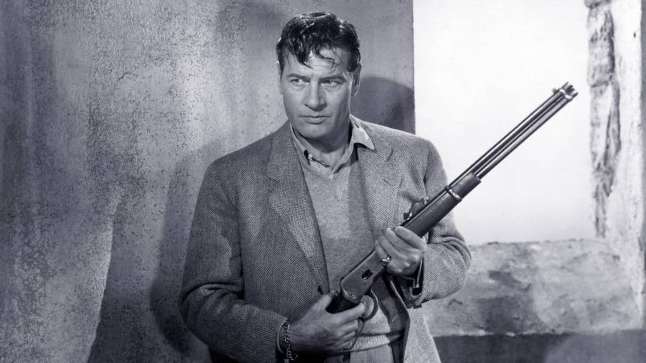 Backdrop – Accomplice