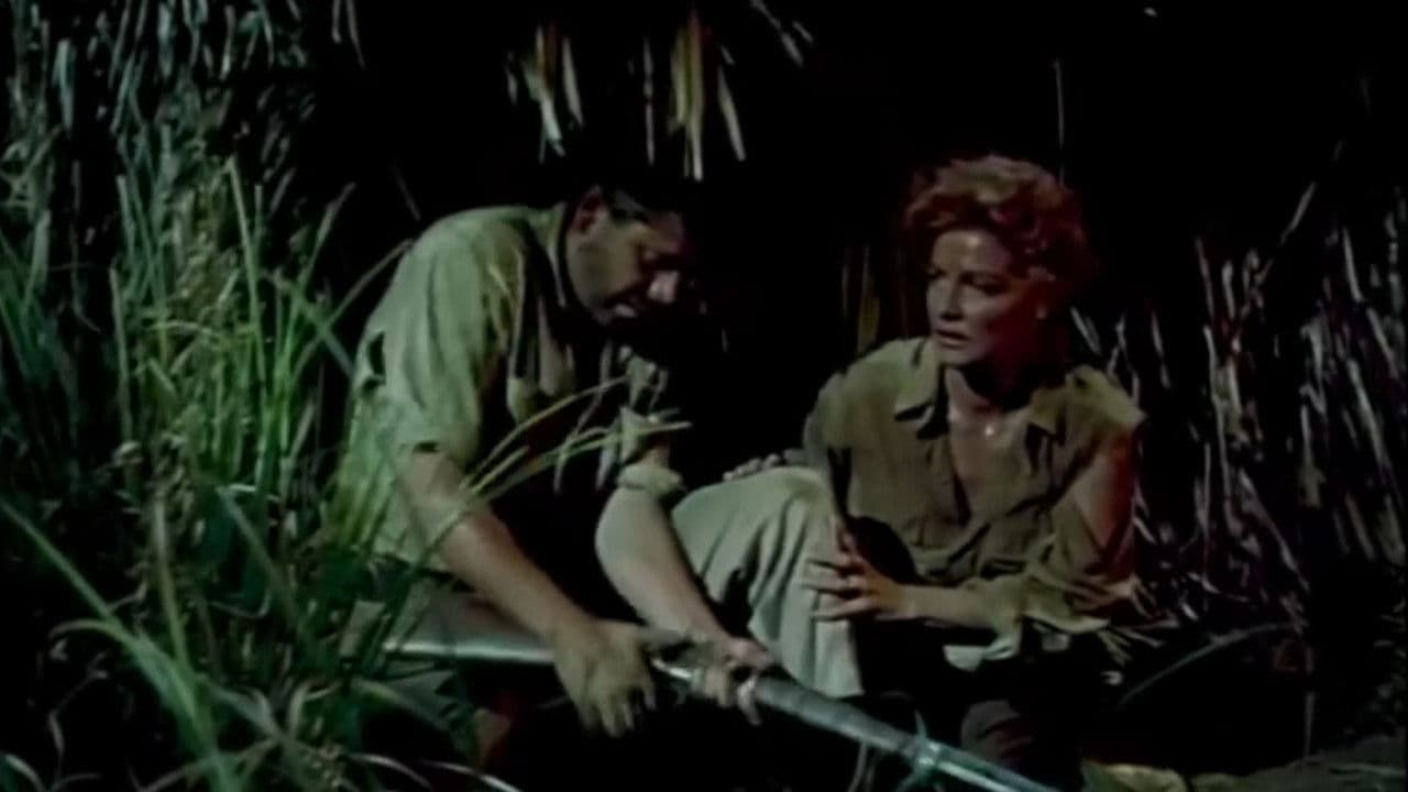 Backdrop – Treffpunkt Honduras