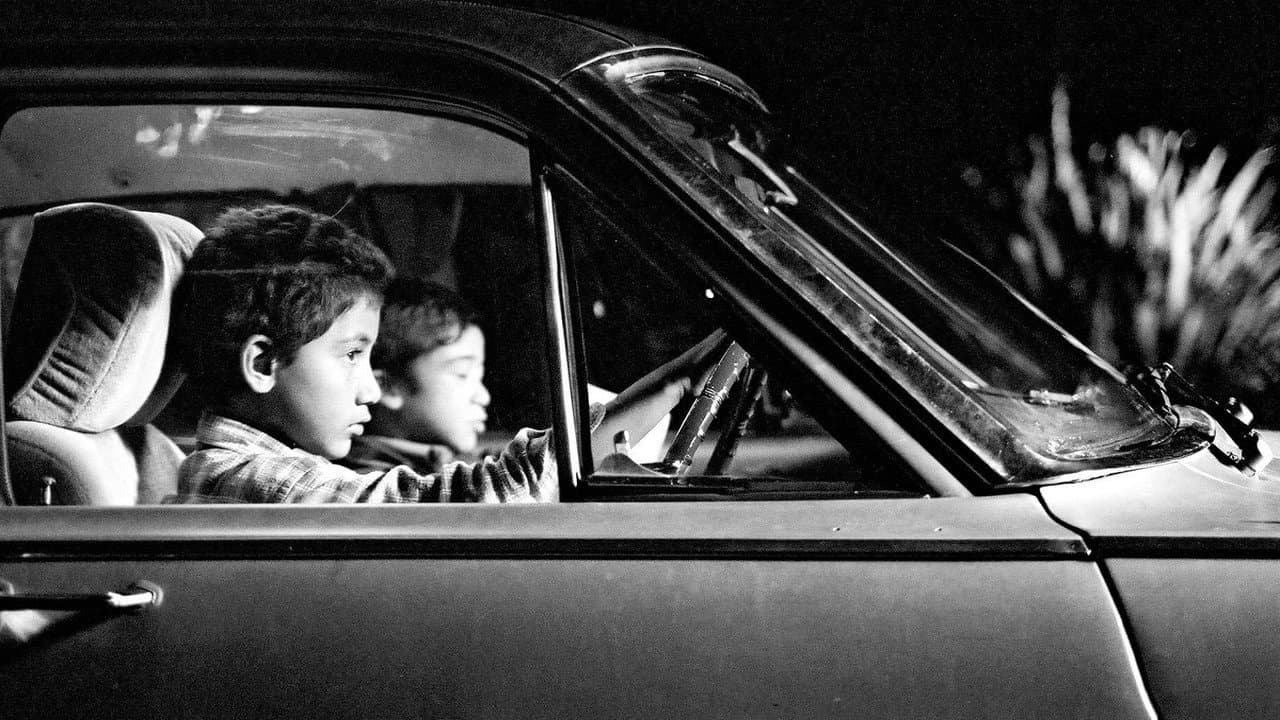 Backdrop – Two Cars, One Night