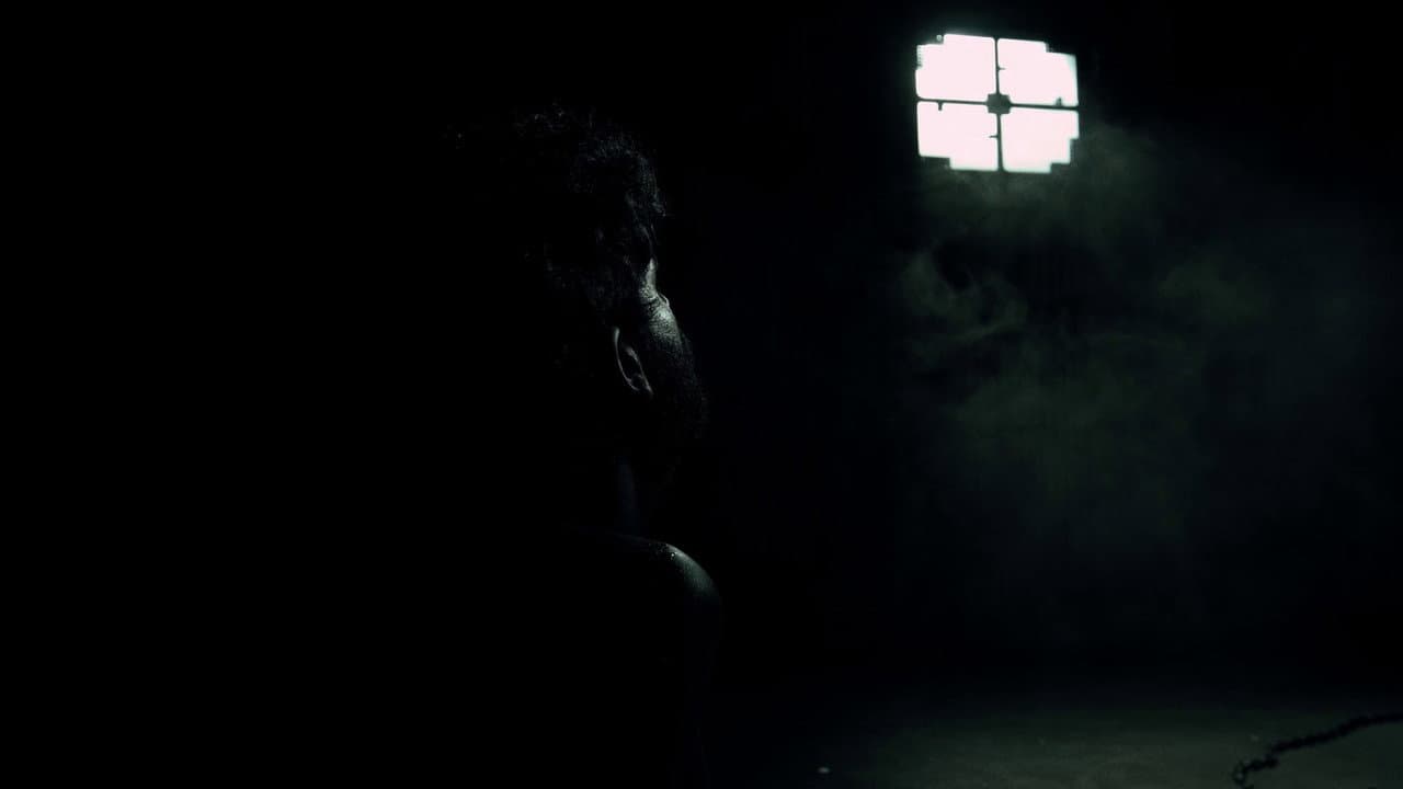 Backdrop – Tripofobia