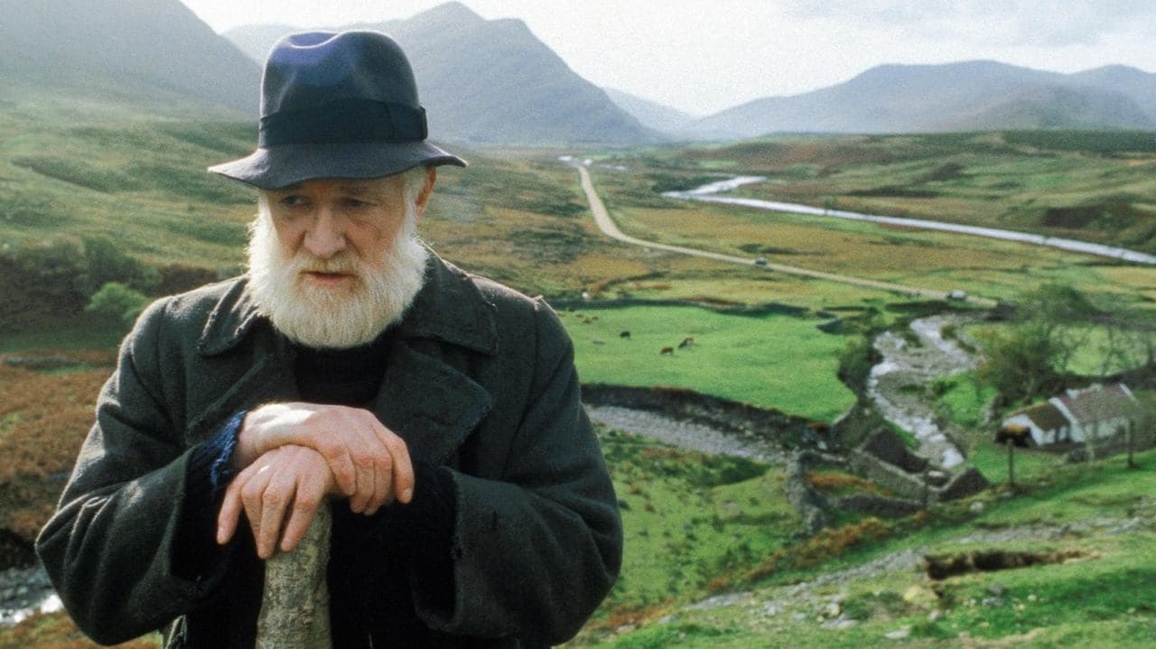 Backdrop – Das Feld