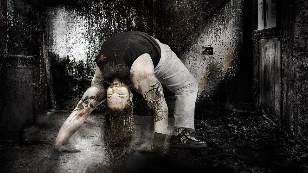 Backdrop – WWE Battleground 2014