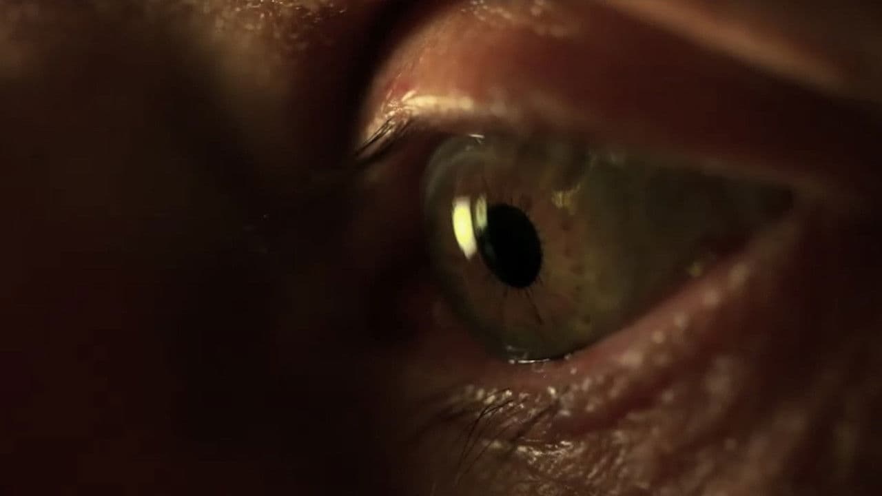 Backdrop – Life's Odyssey