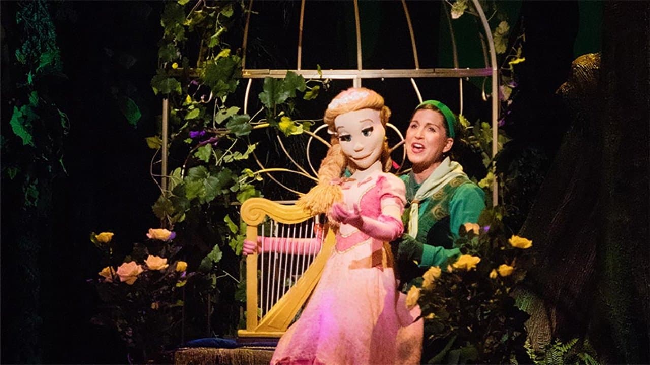 Backdrop – Sprookjesboom de Musical - Een Wonderlijk Muziekfeest
