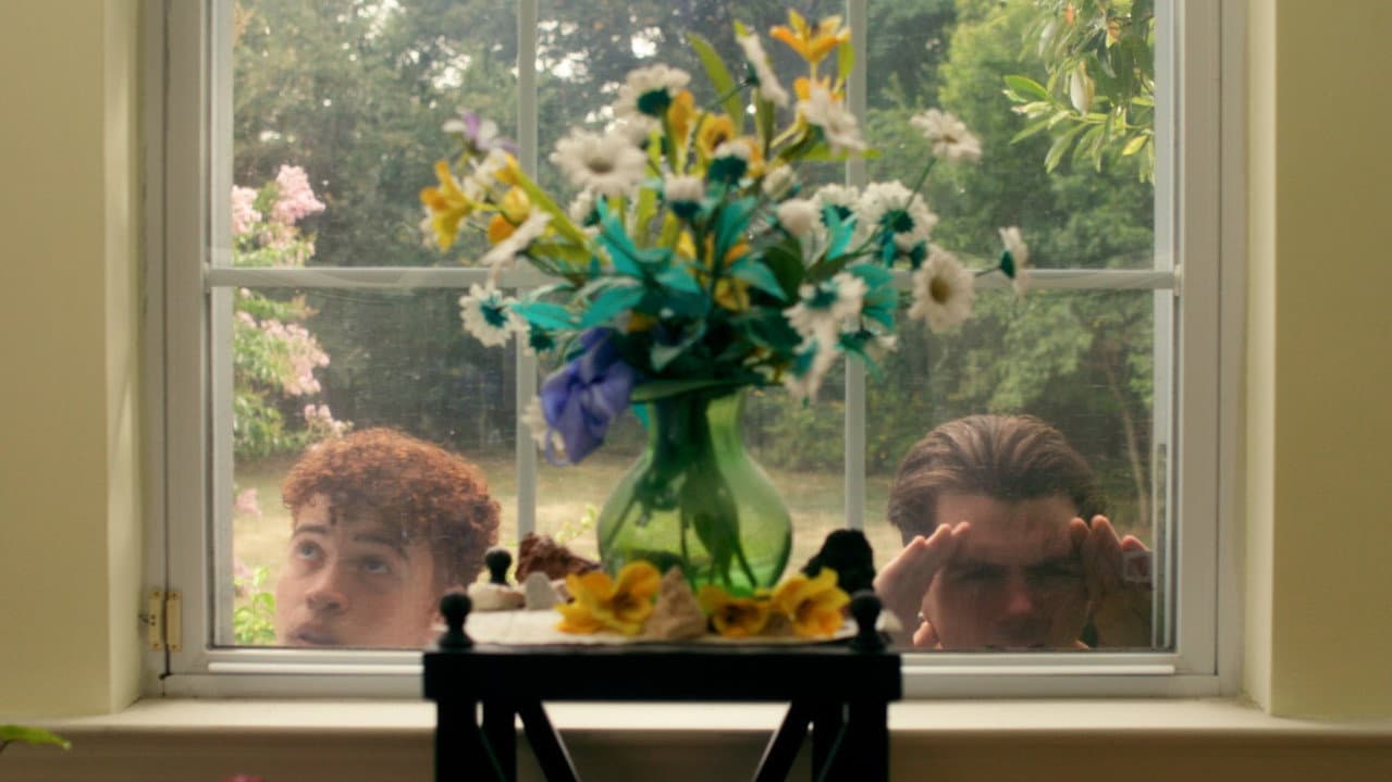 Backdrop – Last Summer Night