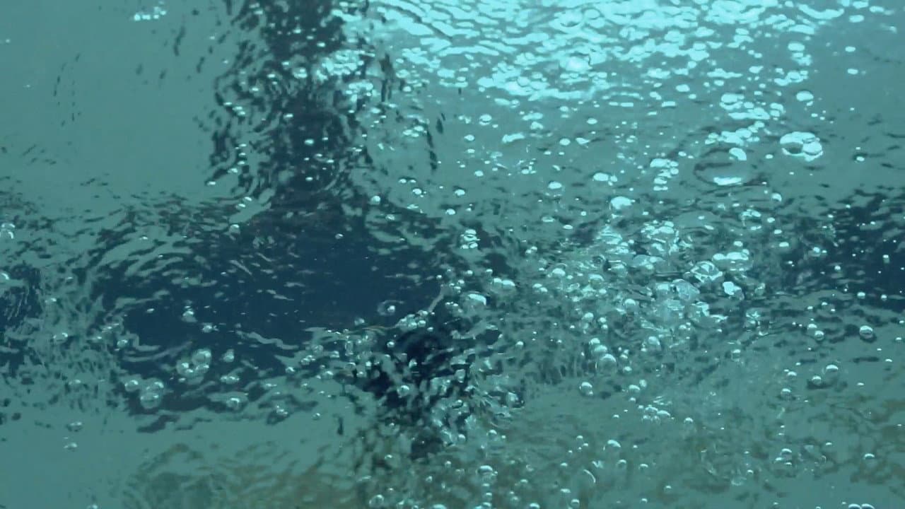 Backdrop – Swimming