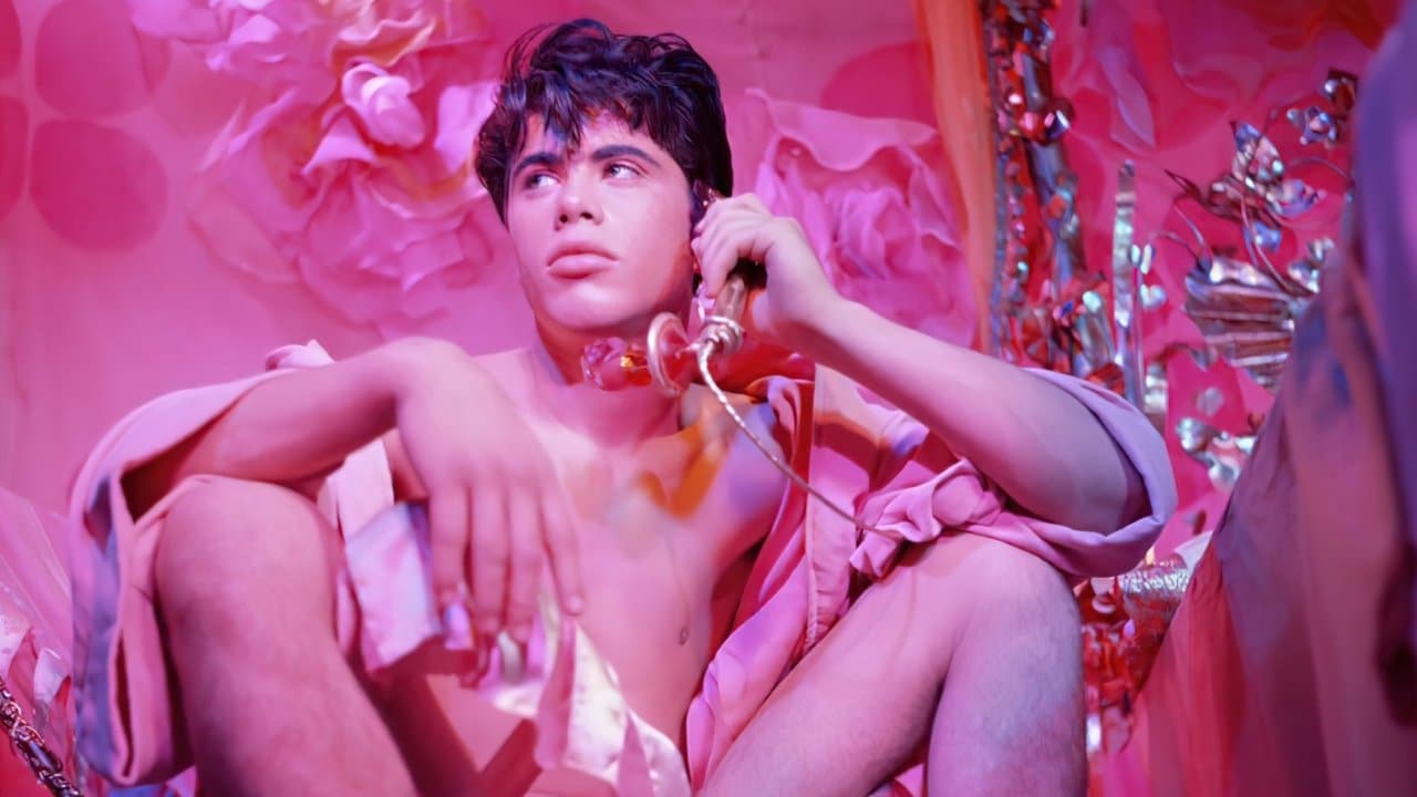Backdrop – Pink Narcissus