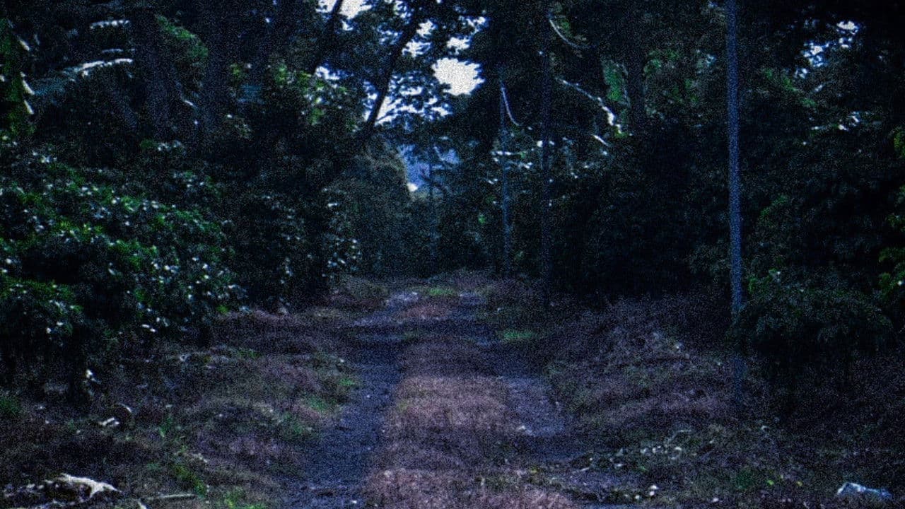 Backdrop – La Trocha