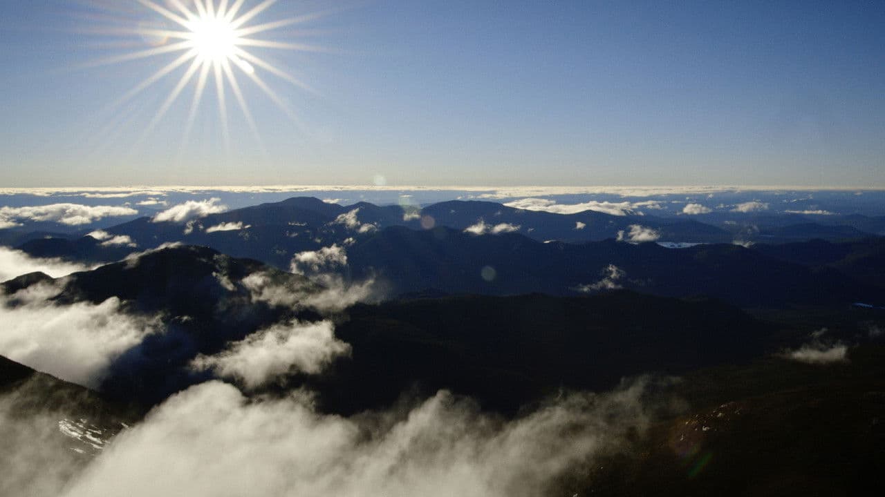 Backdrop – The 46ers